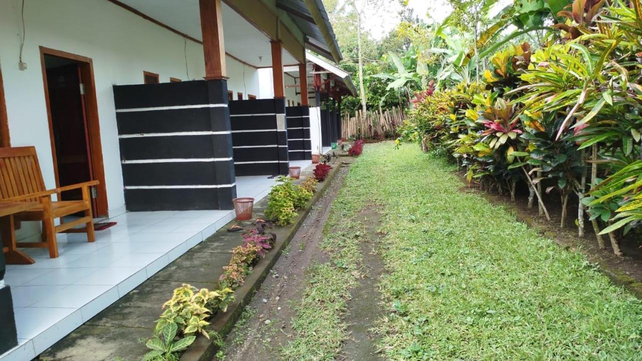 Tatasya Homestay Senaru Kültér fotó
