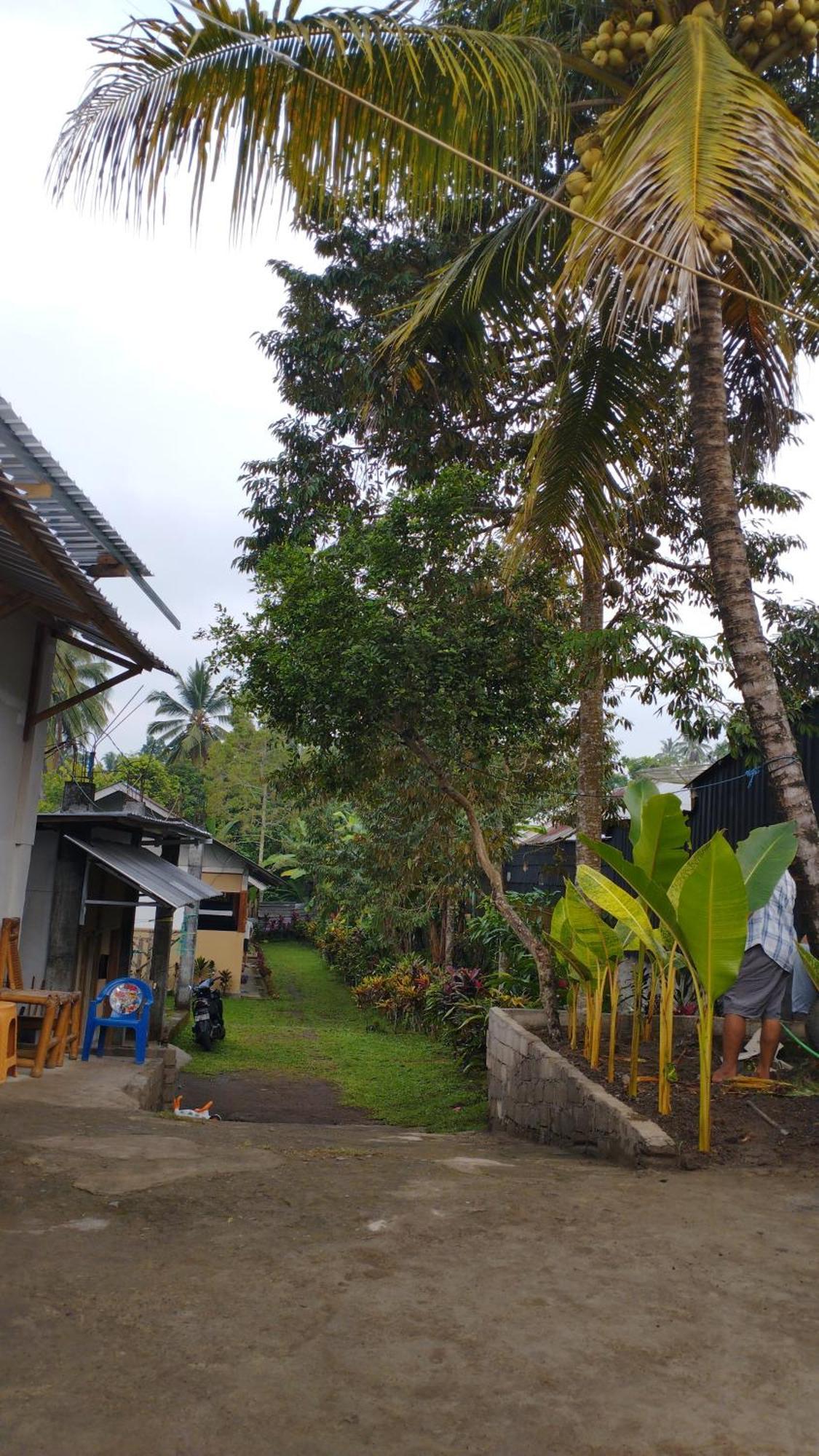 Tatasya Homestay Senaru Kültér fotó